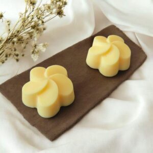 galet de cire parfumée Meli melon